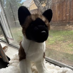 Douglas Cuddle Toys Akita Plush Soft and Cuddly Stuffed Animal Toy Cute