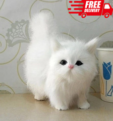 Kitten Cat 5 Inch Stuffed Animal Plush Toys Toddler Doll Kids Gifts