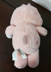 2019 Cheerbear 12″ Carebears pink bear plush TTO vintage style beanie Character