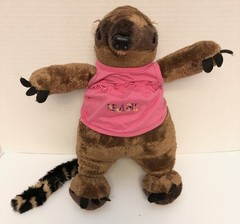 Brasil Boutique COATIMUNDI Coati Mexican Raccoon Plush Stuffed Toy LC