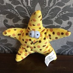 Starfish Plush Stuffed Animal Sea Star Creature Ocean Bright Eyed Bushy Tailed