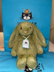 Jellycat Bashful Moss Bunny BNWT Retired Rare HTF Plush Dust Bag Authentic Gift