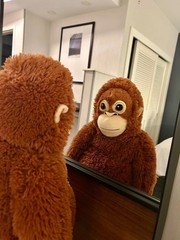 Punch Monkey – IKEA DJUNGELSKOG – 2 Soft Toys – Plush Duo Set – BIG & MINI