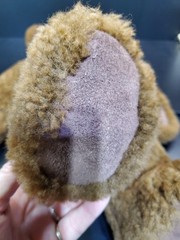 Kutie Koalas Teddy Bear New Zealand Genuine Sheepskin 19″ Has Tag and Bow