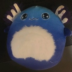 Squishmallow Mystery Squad Miss Vi Axolotl Blue Plush 5″ Soft KellyToy