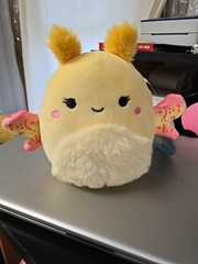 Original Squishmallows Miry The Butterfly NWT 6″ S5 #1680 4-12-22 Plush