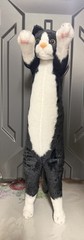2025 UCC EXCLUSIVE Crazy Kitten 20″ Standing Cat Plushy BLACK WHITE NEW