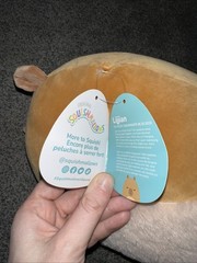 Squishmallows LIJJIAN the Capybara w/ Closed Eyes & Fuzzy Belly 11″ Plush Toy
