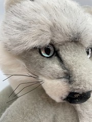 Kipmik Leosco Laying Silver Arctic Fox Plush Toy 12″+ Gray Grey Wolf Jaag?