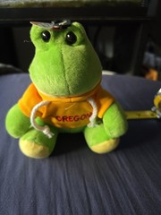 Vintage plush frog, produced by State Stuff Souvenirs, wears a yellow hoodie