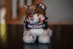 Custom 16″ Douglas Sasha ESSA Red Husky with Gear