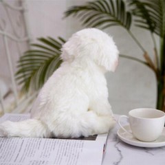 38cm Cute Lifelike Realistic Maltese Dog Plush Toy Soft Stuffed Doll Kids Gifts