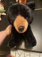 12” The Petting Zoo Black Bear Plush “I’m Recycled”
