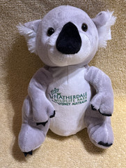 Koala Plush 8″ – Featherdale Wildlife Park, Sydney Australia – New w/ tags