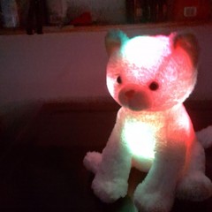 Small Plush Stuffed Animal Cat /White Washable 3-5 Years 6-14 in
