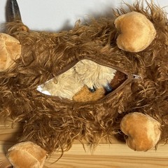 Highland Cow 14″ Plush with 4 Calves Baby Cows in Zipped Tummy 2025 With Tag