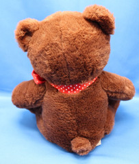 Star Smilez Kids Brushing Buddy Lil Cubby Bear Dental Educational Plush