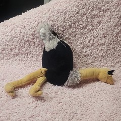 Fiesta Ostrich Stuffed Animal Plush, Black Yellow Gray