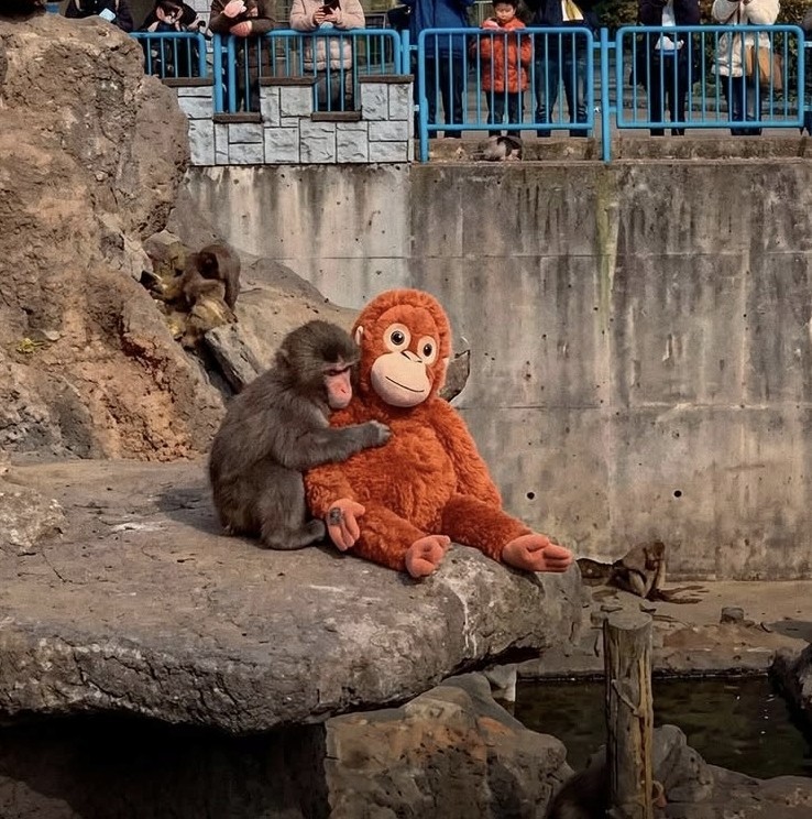 Punch Orangutan Djungeskog Monkey Brown 26 inch Ikea Plush 10402841 104.028.41