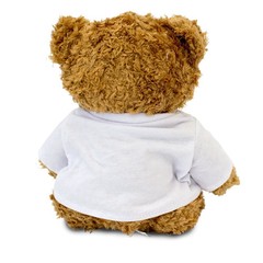 HAVE A GREAT TIME IN VIETNAM Teddy Bear – Cute Cuddly – Holiday Gift Present