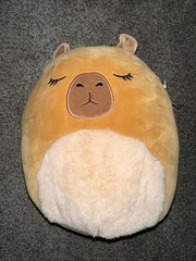 Squishmallows LIJJIAN the Capybara w/ Closed Eyes & Fuzzy Belly 11″ Plush Toy