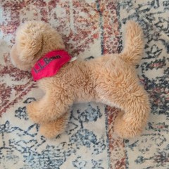 DOUGLAS LL Bean Golden Retriever Dog Plush