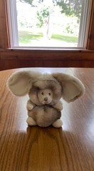 Bukowski Design Colorful Ziggy Plush Teddy Bear in Bunny Outfit NWT Swedish