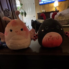 Squishmallows Pink & Black Insect Plush, Lot of 2, Small 6-14 in
