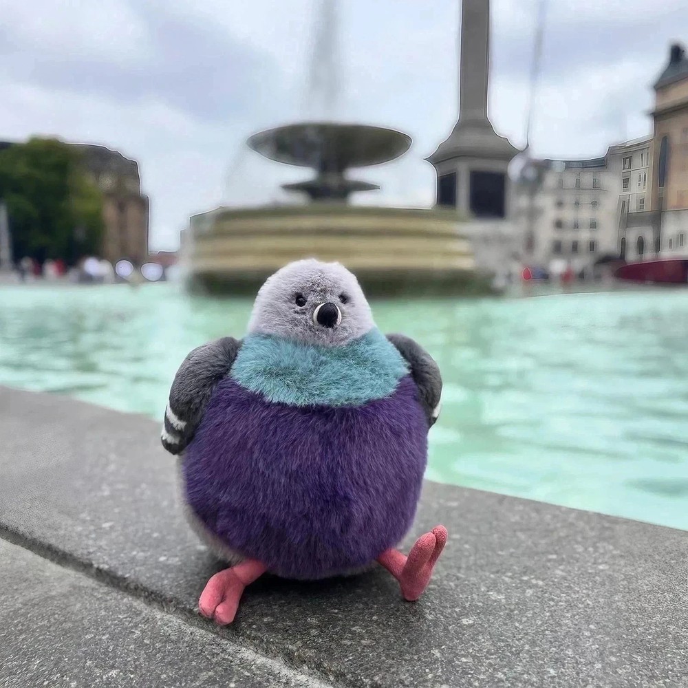 Leicester Pigeon – London selfridges exclusive BNWT | Limited Release