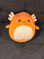 Squishmallow Nico the Orange Axolotl 8 inch NWT 2021 Stuffed Plush