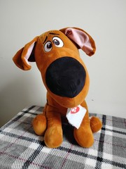 Scooby Doo Plush 18″ Valentine Greeter (2022) Walmart