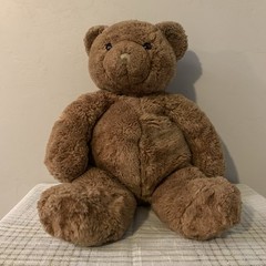 Brown Plush Teddy Bear Toy Dark Red Eyes and Tan Nose Stuffed Animal