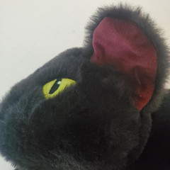Giggle Scape Black Long Cat Green Eyes Target Plush Stuffed 32”