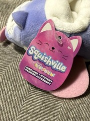 Squishmallows Squishville AIRPLANE + Mystery Fashion Accessory Plush Toy 4″ x 2′