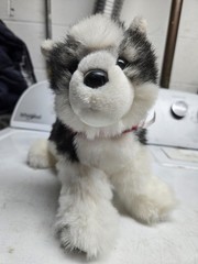 Douglas Plush Soft Husky Retired 2012 Vintage Cabela’s 12in Number 1885