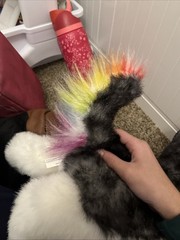 Black And White Husky Plush Bass pro Shops Colored Black Rainbow Tail Star Nose