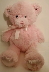 Baby Gund My First 1st Teddy Bear Pink Plush Toy Stuffed Animal 15″