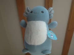 USA EXCLUSIVE Squishmallow Miss Vi 14” Hugmee Hug Mees Rare Exclusive