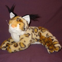 Bobcat Plush Stuffed 8″Animal Sugar Loaf Brown Tan White