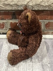 CUSTOM RENDERED Horror/Scary Stuffed Teddy Bear W/ Wicked Mouth/Unknown Artist