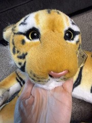 Vintage Calplush King of the Jungle Newborn Tiger Plush 2012 Laying Realistic