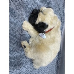 Perfect Petzzz Pug Breathing Lifelike Realistic Sleeping Plush Toy Tan Black