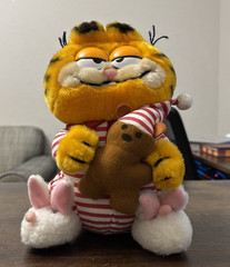 Vintage Garfield Cat in Pajamas Plush Toy With Pookie Bear Stuffed 9″ Dakin 1981