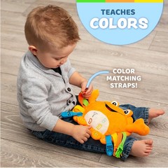 – Barney Crab Animal – Montessori Learning for Toddlers – Develop Motor Skill…