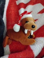 Vintage NWT Coca Cola Bean Bag Plush – Walrus in Coca-Cola Snowflake Night Cap