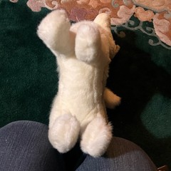 VTG Douglas Cuddle Toys Mini Classics Husky Plush Retired Late 90s Rare China