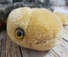 Plushland Turtle Plush Stuffed Animal Shelled Reptile Toy Green Beige
