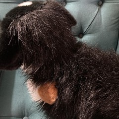 Alps 24″ Bernese Mountain Dog Douglas Plush Stuffed Animal Cuddle Toy #1851