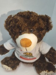 Giftable World Brown 11″ Stuffed Teddy Bear Plush with California Republic Shirt