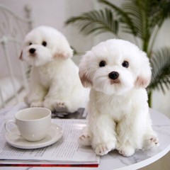 38cm Cute Lifelike Realistic Maltese Dog Plush Toy Soft Stuffed Doll Kids Gifts